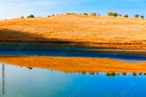 Hill with dry grass on the shore . Summer nature reflection in the lake water 