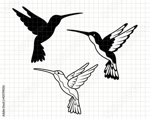 Hummingbird design.  Bird Silhouette vector flat illustration. Cutting file. Suitable for cutting software. Cricut, Silhouette photo