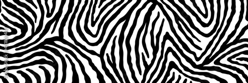 Vector abstract animalistic background. Freehand illustration of zebra skin print. Long horizontal banner.
