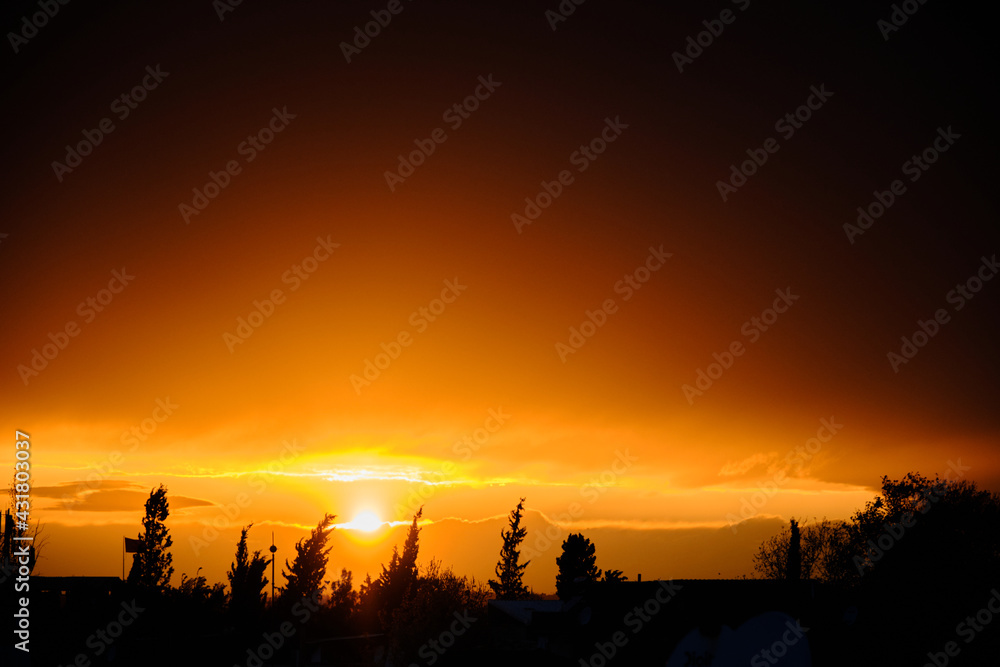 Sun photo during sunset and many city and tree silhouettes