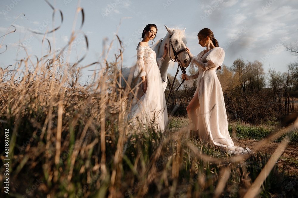 Two beautiful brides in a light dress posing. Boho style. Photo shoot with a horse. Two beautiful brides in a light dress posing. Boho style. Photo shoot with a horse.