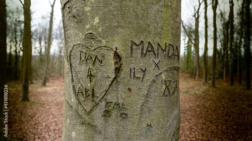 Wallpaper Mural Love heart and Names carved into beech tree trunk for natural layer nature texture backdrop wallpaper. Torontodigital.ca