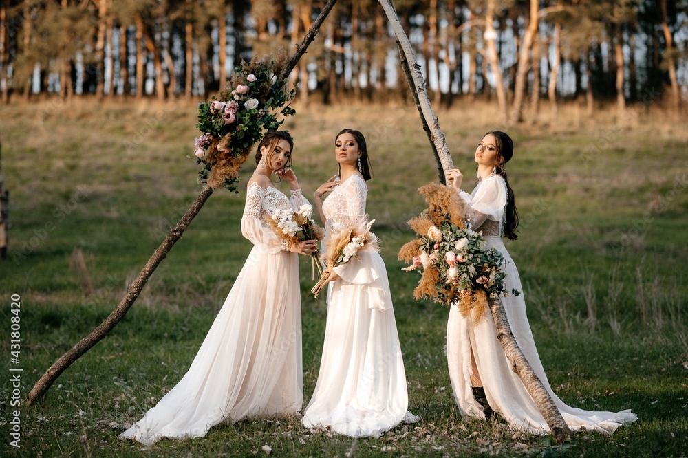Three beautiful brides in a light dress pose. Boho style. 