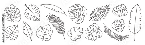 Tropical leaves vector line set, black palm leaf outline doodle design isolated on white background. Editable stroke. Nature exotic illustration