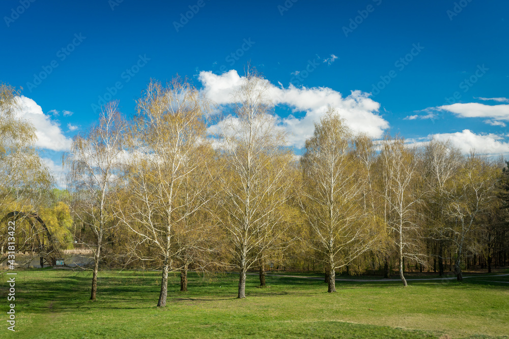 Kányavári island on Little-Balaton at spring, Hungarian park on a sunny day Kányavári island on Little-Balaton at spring, Hungarian park on a sunny day