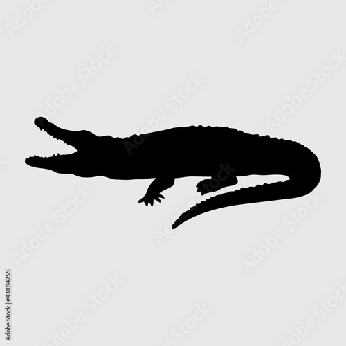 Crocodile Silhouette, Crocodile Isolated On White Background © NRkz