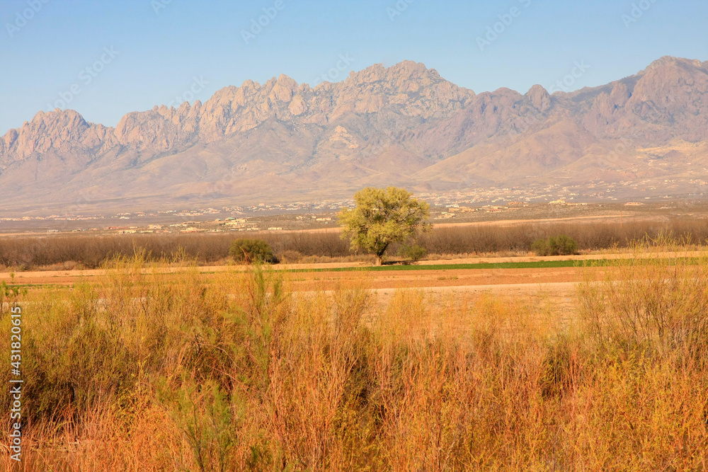 View of the Organ Mountain in Las Cruces New Mexico