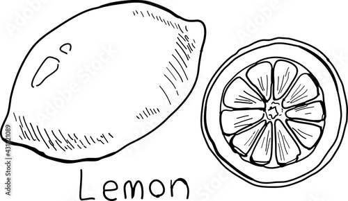 Hand-drawn pen drawing of two lemons.
