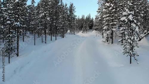 Wallpaper Mural Snow-covered Forest Road During Winter In Inari, Finland - aerial drone shot Torontodigital.ca