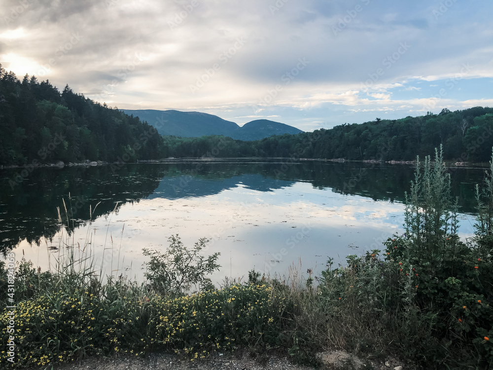 Fototapeta premium Reflection