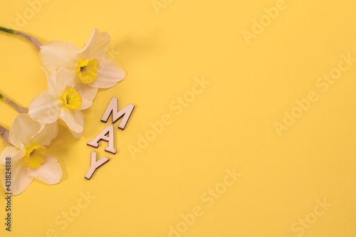 Top view of the month of May in wooden letters and daffodil flowers. Layout. copy space © Olena Vasylieva