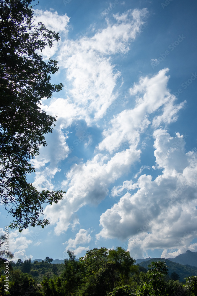 Obraz premium Sky and clouds.