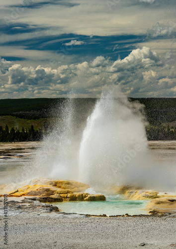 Geysers in Yellowstone National Park