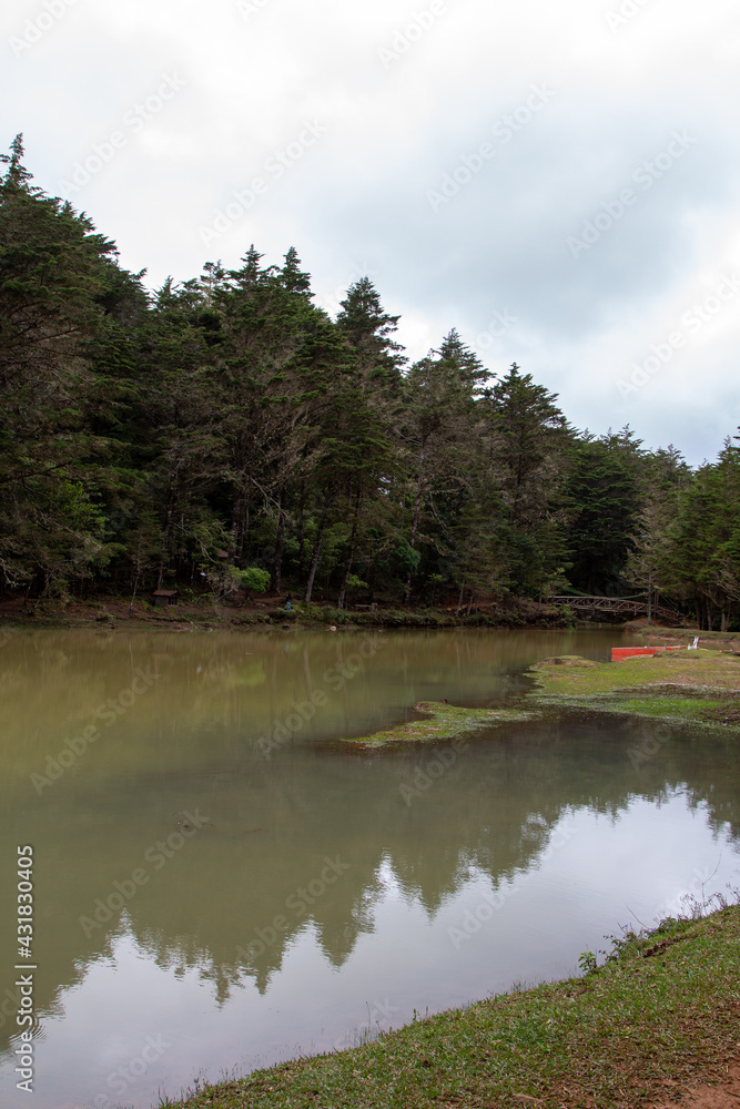 reflection at the lake reflection at the lake