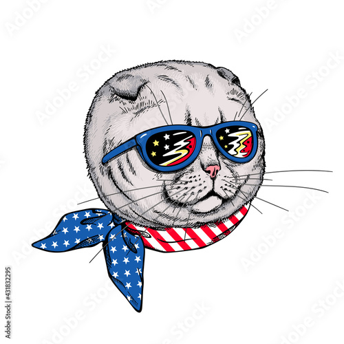 Scottish fold cat head in sunglasses. Stylish image for printing on any surface