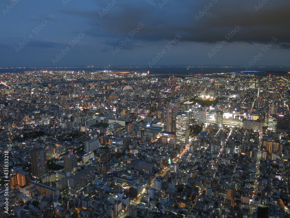 東京スカイツリー天望デッキから見た夜景（南側　東京湾方面　錦糸町・葛西臨海公園・東京ディズニーリゾート・房総半島など）　View from Tokyo Skytree Tembo Deck