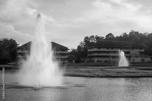 fountains in the park