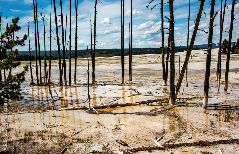 Landscape in Yellowstone National Park Landscape in Yellowstone National Park