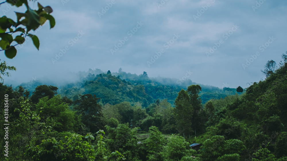 Obraz premium Mountains and fog.
