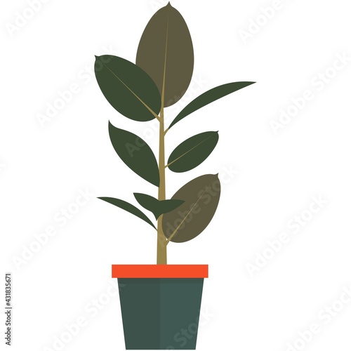 Plant in pot vector home interior element illustration