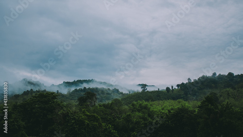 Mountains and fog.