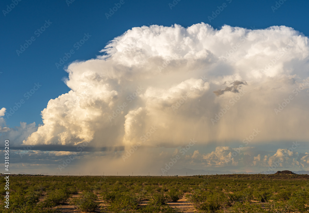 Supercell Thunderstorm before Sunset in the Arizona Desert