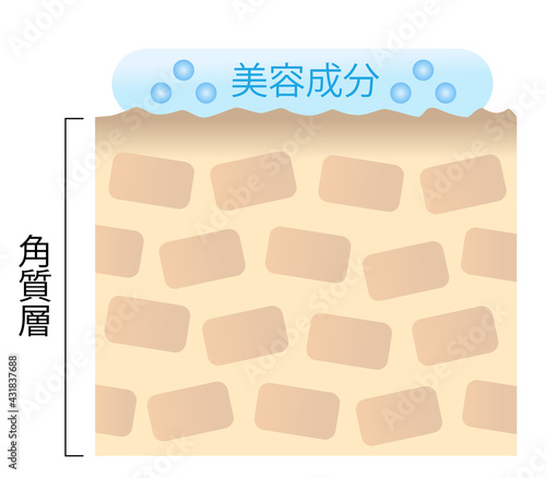 浸透力の低い肌　断面図