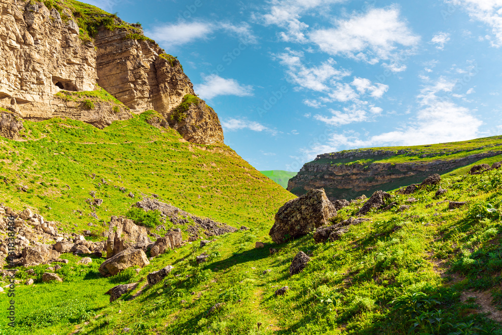 Green nature landscape with a fragment of a rock collapse