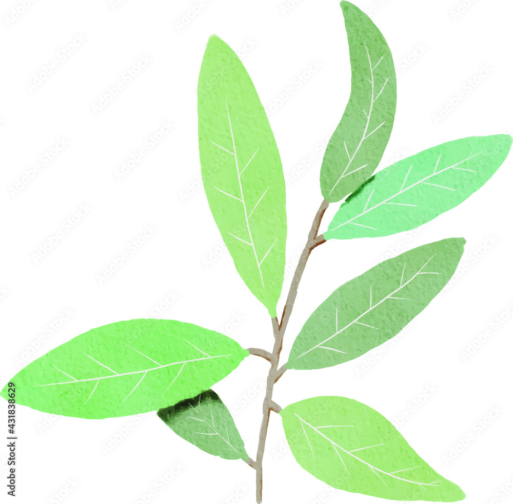 Fototapeta premium pastels dream