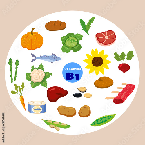 Set of Vitamin C origin natural sources. Healthy diary food, thiamin, fruits, greens, vegetables, fish, nuts, meat, bread. Organic diet products, natural nutrition collection. Vector flat