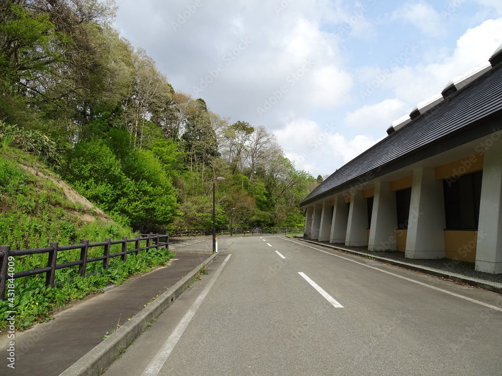 Naklejka premium 初夏の道路