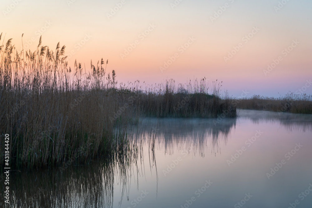 red sky dawn on lake Neusiedlersee in Burgenland with misty reeds on canal of Oggau