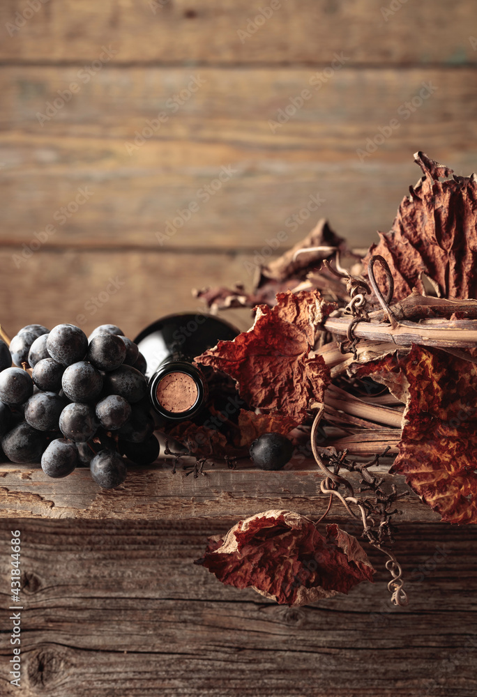 Bottle of red wine with grapes and dried vine on an old wooden table. - obrazy, fototapety, plakaty 