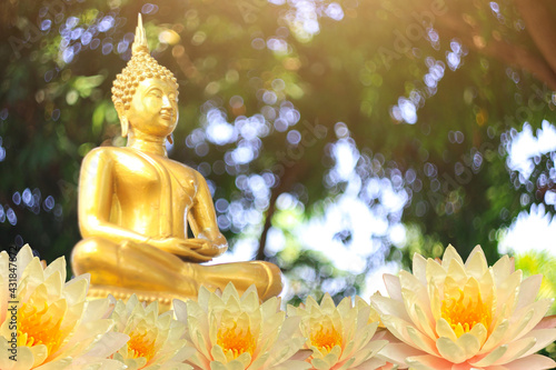 The Lord Buddha Statue color gold on white background.concept buddhist honly day and religious in Buddhism as ,Makhabucha,Visakhabucha and Asarnlahabucha day.selective focus.