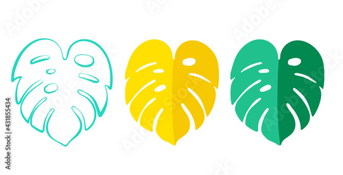 set of monstera deliciosa leaf, tropical foliage leaf, Liebm