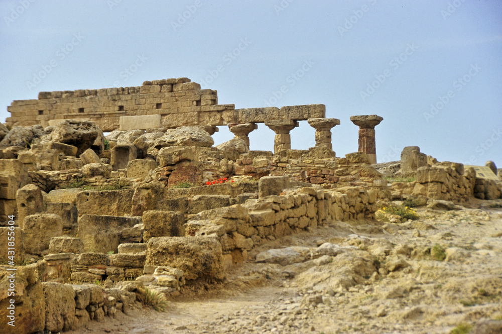 ruins of ancient roman amphitheater in Egypt