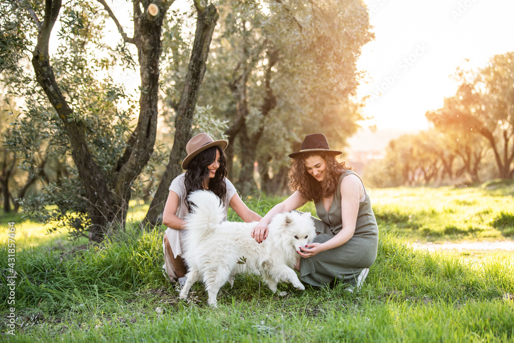 a lesbian couple playing with a white puppy in the field at sunset. lesbian concept a lesbian couple playing with a white puppy in the field at sunset. lesbian concept