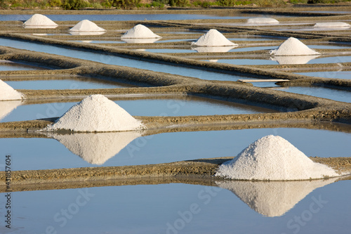 Marais salant en France, tas de sel récolté par un saunier de Guérande ou de Noirmoutier. photo