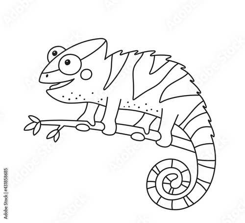 Funny chameleon lizard character for kid coloring book. Reptile with curved tail sitting on branch of jungle tree. Isolated vector illustration on white background.