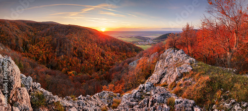 Fototapeta Naklejka Na Ścianę i Meble -  Beautiful orange and red autumn forest mountain, many trees on the orange hills, Slovakia