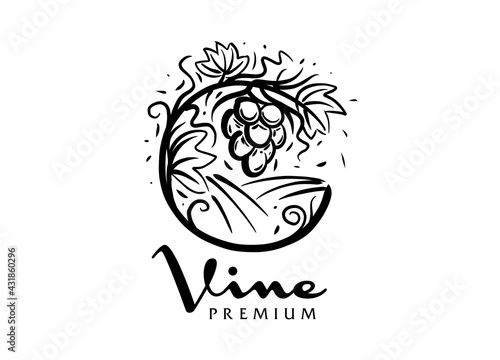 Vector logo drawn by hand. Landscape of vineyards for making wine