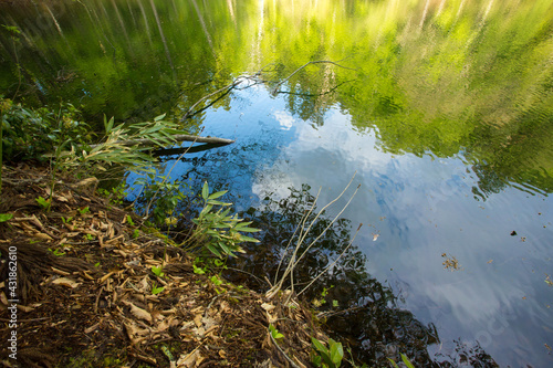 Fototapeta Naklejka Na Ścianę i Meble -  水面に映り込む美しい自然のグラデーション
