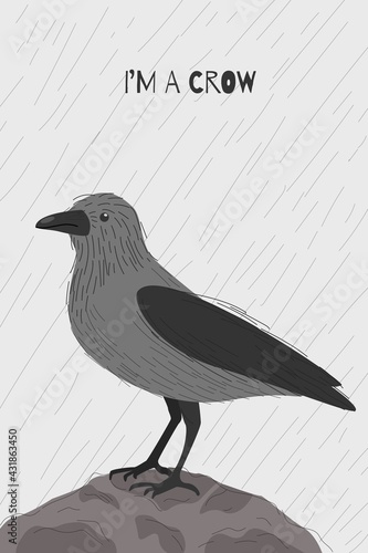 The image of a hooded crow in a hand-drawn style. City bird. Vector illustration.