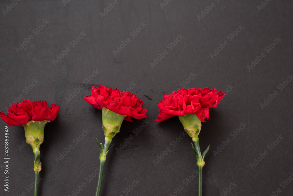 Red carnations on black background. Victory Day in Russia.