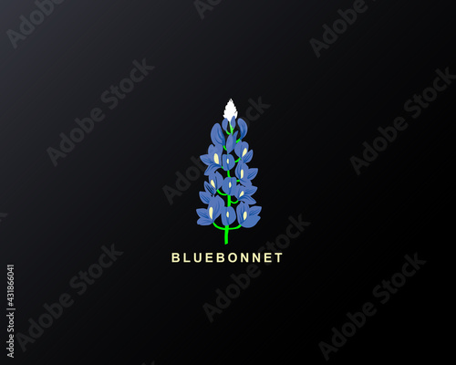 Bluebonnet Vector photo