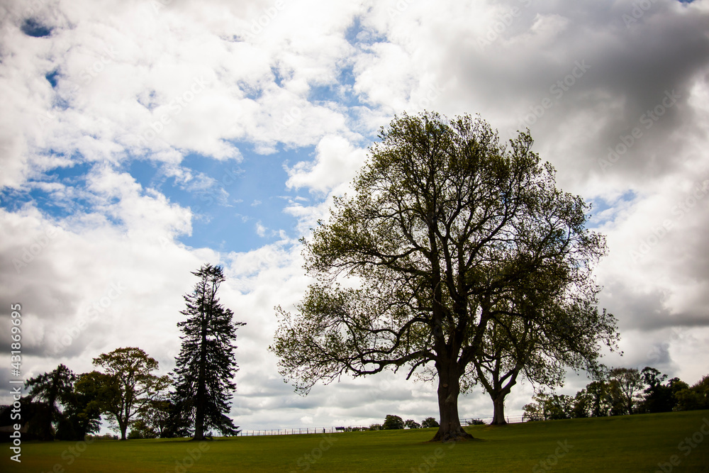 Spring landscape in the lands of Ireland Spring landscape in the lands of Ireland