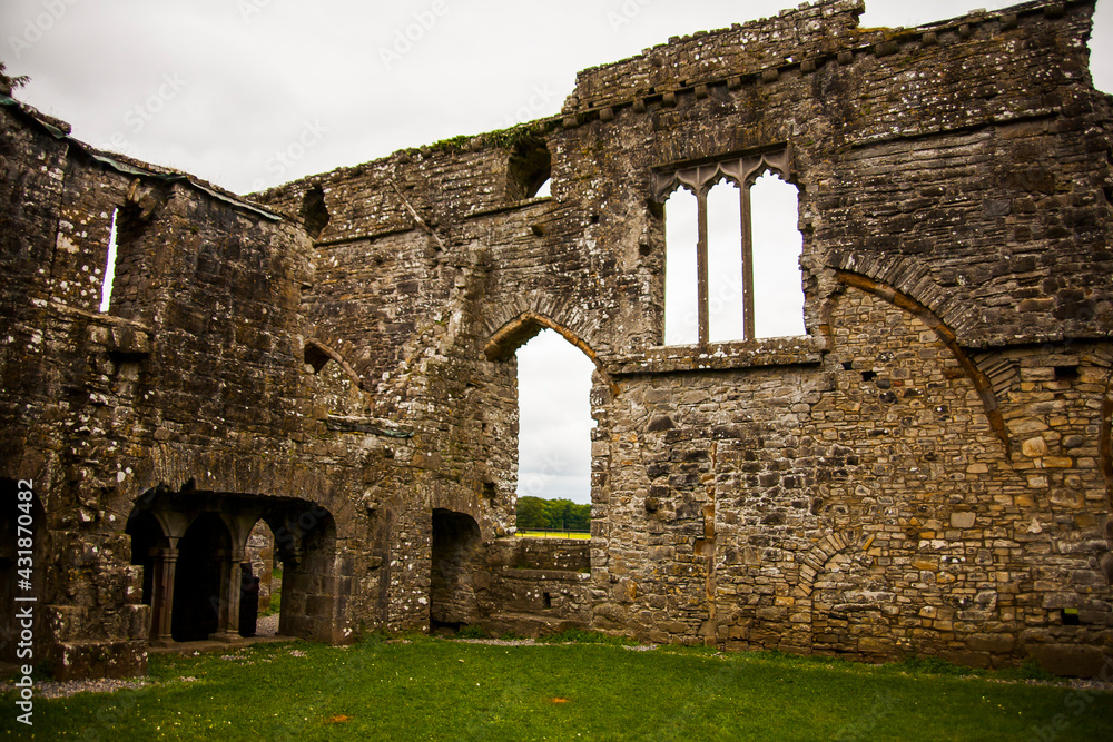 Spring in Bective Abbey (Mainistir Bheigti), Ireland Spring in Bective Abbey (Mainistir Bheigti), Ireland