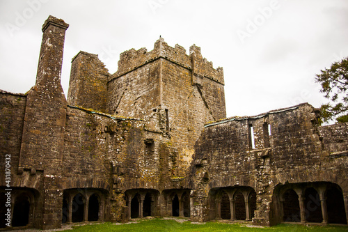 Spring in Bective Abbey (Mainistir Bheigti), Ireland photo