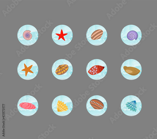 Icons with shells for stories. Set of round social media templates. Vector illustration. For use in blog design, media, logos and other decor.