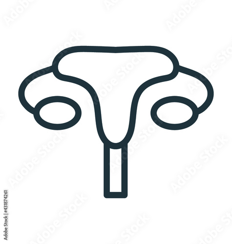 Excretory System 